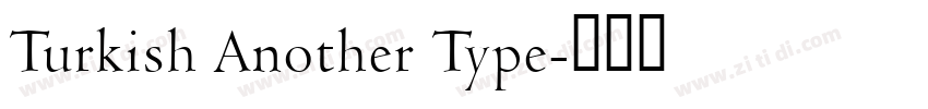 Turkish Another Type字体转换